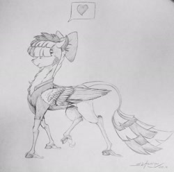 Size: 2048x2034 | Tagged: dead source, safe, artist:skitsroom, songbird serenade, pegasus, pony, my little pony: the movie, bow, cheek fluff, chest fluff, clothes, female, hair over eyes, heart, hooves, leonine tail, mare, smiling, solo, traditional art, unshorn fetlocks, wings