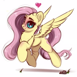 Size: 2048x2048 | Tagged: dead source, safe, artist:skitsroom, fluttershy, pegasus, pony, blushing, female, heart, looking at you, mare, simple background, sketch, solo, spread wings, white background, wings