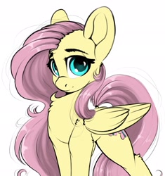 Size: 1925x2048 | Tagged: dead source, safe, artist:skitsroom, fluttershy, pegasus, pony, chest fluff, female, looking at you, mare, simple background, solo, white background, wings