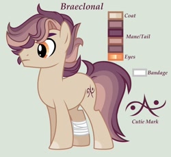 Size: 1280x1170 | Tagged: safe, artist:lominicinfinity, derpibooru import, oc, oc:braeclonal, earth pony, pony, male, offspring, parent:daring do, parent:doctor caballeron, parents:daballeron, reference sheet, simple background, solo, stallion