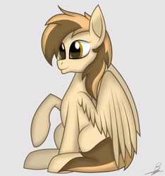 Size: 3000x3200 | Tagged: safe, artist:benzayngcup, artist:spinostud, derpibooru import, oc, pegasus, pony, solo