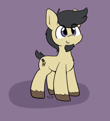 Size: 1005x1101 | Tagged: safe, artist:taurson, derpibooru import, oc, oc only, oc:gameburger, earth pony, pony, cute, eye clipping through hair, facial hair, goatee, looking up, male, short tail, smiling, solo
