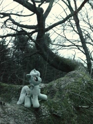 Size: 1944x2592 | Tagged: safe, artist:adamar44, derpibooru import, lyra heartstrings, pony, unicorn, irl, nature, photo, plushie, poland, solo, tree