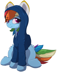 Size: 1010x1280 | Tagged: safe, artist:nighty, derpibooru import, rainbow dash, pegasus, pony, 2021 community collab, clothes, colored pupils, derpibooru community collaboration, ears, female, fluffy, hoodie, looking at you, mare, simple background, sitting, smiling, solo, tail, transparent background, wings
