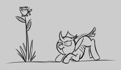Size: 1172x678 | Tagged: safe, artist:evan555alpha, ponybooru exclusive, changeling, fly, evan's daily buggo, behaving like a cat, dorsal fin, exclamation point, female, flower, monochrome, pounce, rose, scrunchy face, simple background, sketch, solo, tail wag, white background, wiggling