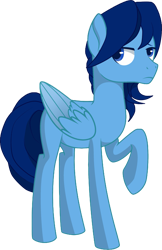 Size: 1881x2910 | Tagged: safe, derpibooru exclusive, derpibooru import, oc, oc only, oc:moonbow dew, pegasus, pony, 2021 community collab, derpibooru community collaboration, male, simple background, transparent background