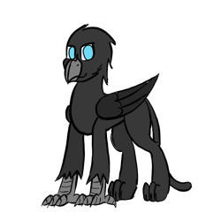 Size: 768x768 | Tagged: safe, artist:somber, derpibooru import, oc, oc only, griffon, 2021 community collab, derpibooru community collaboration, male, simple background, solo, transparent background