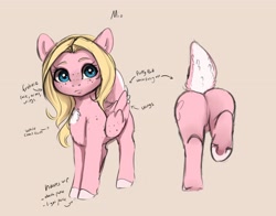 Size: 3235x2539 | Tagged: safe, artist:miokomata, derpibooru import, oc, oc only, oc:mio, pegasus, pony, butt, deer tail, female, freckles, mare, plot, reference sheet, shoulder freckles, simple background, solo, underhoof, wing freckles