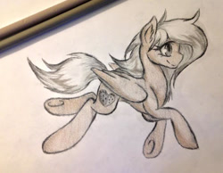 Size: 698x542 | Tagged: safe, artist:emberslament, derpibooru import, oc, oc:watermelon splash, pegasus, pony, ear fluff, ears, female, mare, pegasus oc, simple background, smiling, solo, traditional art, underhoof, white background