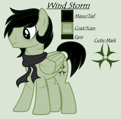 Size: 1280x1260 | Tagged: safe, artist:lominicinfinity, derpibooru import, oc, oc:wind storm, pegasus, pony, clothes, male, reference sheet, scarf, simple background, solo, stallion