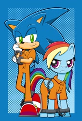 Size: 2262x3321 | Tagged: safe, artist:tylerbucket, derpibooru import, rainbow dash, pegasus, pony, bound wings, chained, clothes, cuffs, duo, frustrated, prison outfit, prisoner rd, sonic the hedgehog, sonic the hedgehog (series), wings