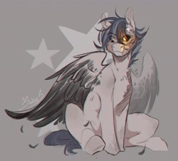 Size: 3352x3024 | Tagged: safe, artist:swoops_star, derpibooru import, oc, oc only, pegasus, pony, gray background, signature, simple background, sitting, solo, wings