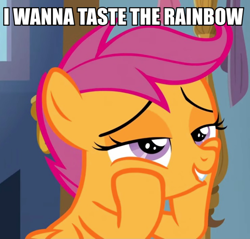 Size: 692x661 | Tagged: safe, derpibooru import, edit, edited screencap, screencap, scootaloo, caption, cropped, episode needed, image macro, implied lesbian, implied scootadash, implied shipping, solo, text