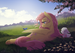 Size: 1167x827 | Tagged: dead source, safe, artist:dvixie, ponerpics import, angel bunny, fluttershy, bird, pegasus, pony, alternate hairstyle, beautiful, both cutie marks, braid, braiding, butt, cute, deleted from derpibooru, ears, female, floppy ears, frog (hoof), grumpy, looking at something, male, mare, monochrome, outdoors, plot, profile, scenery, scenery porn, shyabetes, solo focus, unamused, underhoof