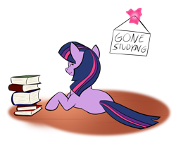 Size: 800x640 | Tagged: safe, artist:acesential, ponerpics import, twilight sparkle, book, deleted from derpibooru