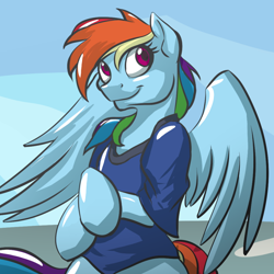 Size: 800x800 | Tagged: safe, artist:acesential, ponerpics import, rainbow dash, pegasus, pony, semi-anthro, clothes, deleted from derpibooru, shirt, solo