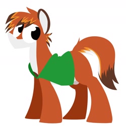 Size: 1800x1800 | Tagged: safe, artist:acesential, ponerpics import, oc, earth pony, pony, deleted from derpibooru, solo