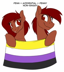 Size: 1280x1446 | Tagged: safe, artist:acesential, ponerpics import, oc, oc only, oc:penn, oc:penny, earth pony, pony, deleted from derpibooru, nonbinary, nonbinary pride flag, pride, pride flag