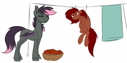 Size: 1319x659 | Tagged: safe, artist:acesential, ponerpics import, oc, oc only, oc:penny, oc:quill, bat pony, earth pony, pony, clothes line, deleted from derpibooru, drying, eyes closed, female, laundry, laundry basket, mare, simple background, white background