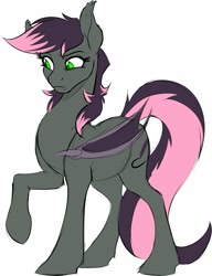 Size: 971x1263 | Tagged: safe, artist:acesential, ponerpics import, oc, oc only, oc:quill, bat pony, pony, bat pony oc, bat wings, deleted from derpibooru, female, mare, raised eyebrow, raised hoof, solo, wings