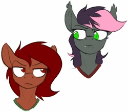 Size: 912x799 | Tagged: safe, artist:acesential, ponerpics import, oc, oc only, oc:penny, oc:quill, anthro, bat pony, earth pony, bust, deleted from derpibooru, duo