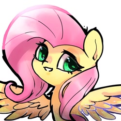 Size: 768x768 | Tagged: safe, artist:tomizawa96, derpibooru import, fluttershy, pegasus, pony, bust, chest fluff, female, looking at you, mare, portrait, simple background, smiling, solo, spread wings, three quarter view, white background, wings