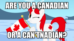 Size: 900x506 | Tagged: safe, artist:bootsyslickmane, derpibooru import, oc, oc only, oc:canadance, pony, canada, caption, flag, image macro, nation ponies, ponified, snow, solo, text