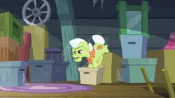 Size: 1920x1080 | Tagged: safe, derpibooru import, screencap, granny smith, earth pony, pony, brotherhooves social, box, female, solo