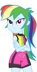 Size: 573x1111 | Tagged: safe, artist:gmaplay, derpibooru import, rainbow dash, human, better together, equestria girls, forgotten friendship, clothes, crossed arms, obligatory pony, rainbow dash is not amused, simple background, solo, swimsuit, transparent background, unamused, vector