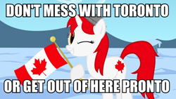 Size: 900x506 | Tagged: safe, artist:bootsyslickmane, derpibooru import, oc, oc only, oc:canadance, pony, canada, caption, female, flag, hat, image macro, looking at you, mare, nation ponies, one eye closed, ponified, pun, smiling, snow, solo, text, toronto, wink