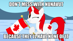 Size: 900x506 | Tagged: safe, artist:bootsyslickmane, derpibooru import, oc, oc only, oc:canadance, pony, canada, caption, female, flag, hat, image macro, looking at you, mare, nation ponies, one eye closed, ponified, pun, smiling, snow, solo, text, wink