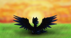 Size: 1366x728 | Tagged: safe, artist:smilingm00n, derpibooru import, oc, oc:bluemoon, pegasus, large wings, pegasus oc, sitting, solo, sun, sunset, wings