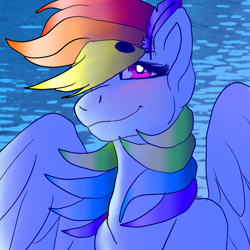 Size: 1426x1426 | Tagged: safe, artist:brainiac, derpibooru import, rainbow dash, pegasus, pony, cute, feather, female, solo