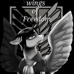 Size: 1550x1550 | Tagged: safe, artist:brainiac, derpibooru import, pony, attack on titan, black and white, chest fluff, clothes, crossover, ears, floppy ears, grayscale, levi ackerman, male, monochrome, solo, stallion, survey corps, text, wings of freedom