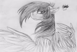 Size: 3841x2568 | Tagged: safe, artist:brainiac, derpibooru import, oc, oc only, oc:liftan drift, pegasus, pony, fallout equestria, ears, female, floppy ears, grayscale, grim reaper, mare, monochrome, solo, traditional art