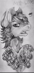 Size: 1967x4117 | Tagged: safe, artist:brainiac, derpibooru import, oc, oc only, oc:p-21, earth pony, pony, bust, chest fluff, cowboy hat, grayscale, grenade, grenades, hat, male, monochrome, open mouth, solo, stallion, text, traditional art