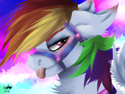 Size: 1600x1200 | Tagged: safe, artist:brainiac, derpibooru import, rainbow dash, pegasus, pony, bridle, collar, female, implied lesbian, implied shipping, implied twidash, solo, tack, tongue out