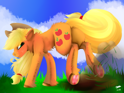 Size: 1600x1200 | Tagged: safe, artist:brainiac, derpibooru import, applejack, earth pony, pony, butt fluff, ears, female, floppy ears, fluffy, freckles, frog (hoof), hoof fluff, leg fluff, mare, shoulder fluff, solo, underhoof, unshorn fetlocks