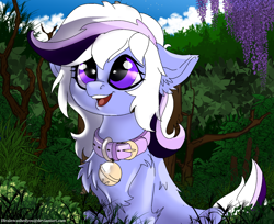 Size: 1920x1563 | Tagged: safe, artist:brainiac, derpibooru import, oc, oc only, oc:whiskey lullaby, cat, cat pony, original species, pony, bell, bell collar, cat bell, chest fluff, collar, cute, female, mare, ocbetes, pet play, solo