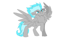 Size: 1920x1200 | Tagged: safe, artist:brainiac, derpibooru exclusive, derpibooru import, oc, oc only, oc:rocco, pegasus, pony, 2020 community collab, behaving like a bird, chest fluff, derpibooru community collaboration, male, simple background, solo, transparent background