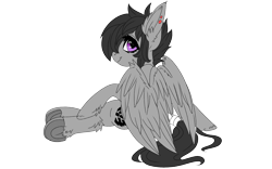 Size: 1920x1200 | Tagged: safe, artist:brainiac, derpibooru exclusive, derpibooru import, oc, oc only, oc:ares, pegasus, pony, 2020 community collab, chest fluff, derpibooru community collaboration, female, simple background, solo, transparent background