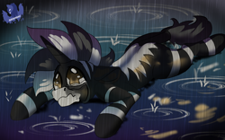 Size: 1920x1200 | Tagged: safe, artist:brainiac, derpibooru import, oc, oc:shadow strike, hybrid, zony, commission, crying, male, puppy dog eyes, rain, solo, stallion, wavy mouth