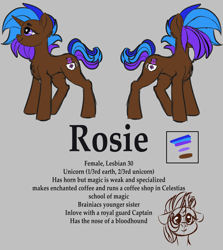 Size: 1920x2154 | Tagged: safe, artist:brainiac, derpibooru exclusive, derpibooru import, oc, oc:rose sniffer, oc:rosie, unicorn, female, mare, reference sheet, solo