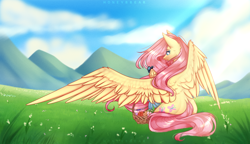 Size: 4088x2352 | Tagged: safe, artist:honeybbear, derpibooru import, fluttershy, butterfly, pegasus, pony, basket, female, field, flower, grass, grass field, high res, looking at something, mare, mountain, mountain range, one wing out, outdoors, raised hoof, raised leg, scenery, sitting, sky, solo, spread wings, valley, windswept mane, wings