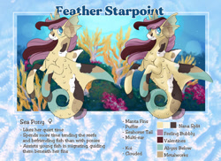 Size: 1280x931 | Tagged: safe, artist:paisleyperson, derpibooru import, oc, oc:feather starpoint, sea pony, female, reference sheet, solo