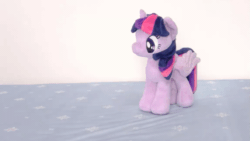 Size: 853x480 | Tagged: safe, artist:nekokevin, derpibooru import, twilight sparkle, twilight sparkle (alicorn), alicorn, pony, 4de, animated, ball, butt shake, female, gif, irl, looking at something, looking down, mare, photo, plushie, smiling, solo, spread wings, stop motion, wings