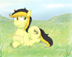 Size: 3400x2700 | Tagged: safe, artist:fdv.alekso, oc, oc only, oc:leslie fair, earth pony, pony, chest fluff, field, grass, grass field, solo