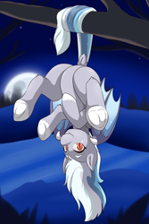 Size: 2000x3000 | Tagged: safe, artist:cainesart, derpibooru import, oc, oc only, oc:evening chill, bat pony, pony, bat pony oc, female, hanging from tree, high res, looking at you, mare, moon, night, smiling, smiling at you, solo, upside down