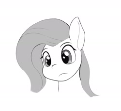 Size: 2129x1953 | Tagged: safe, artist:flutterfigle, derpibooru import, fluttershy, pegasus, pony, bust, monochrome, simple background, solo, white background