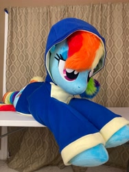 Size: 3024x4032 | Tagged: safe, artist:qtpony, derpibooru import, rainbow dash, pony, clothes, hoodie, irl, life size, photo, plushie, solo